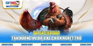Đá Gà Cựa Dao - Tận Hưởng Vũ Điệu Kê Chiến Nghẹt Thở