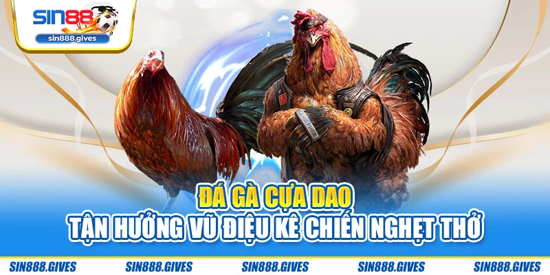 Đá Gà Cựa Dao - Tận Hưởng Vũ Điệu Kê Chiến Nghẹt Thở