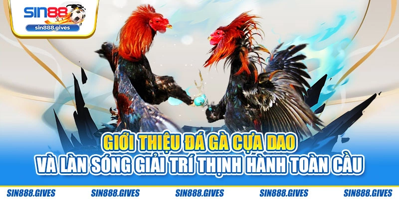 Giới thiệu đá gà cựa dao và làn sóng giải trí thịnh hành toàn cầu