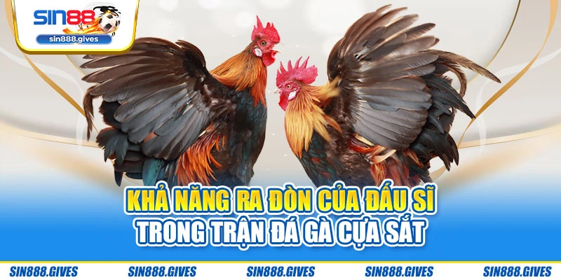 Khả năng ra đòn của đấu sĩ trong trận đá gà cựa sắt