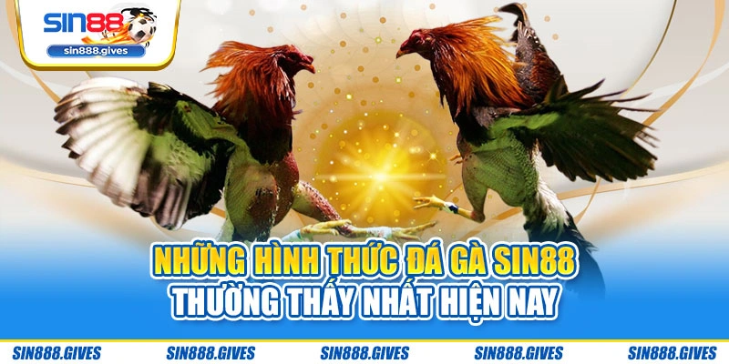 Những hình thức đá gà Sin88 thường thấy nhất hiện nay