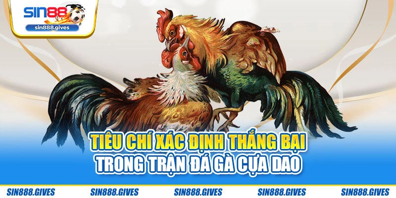 Tiêu chí xác định thắng bại trong trận đá gà cựa dao