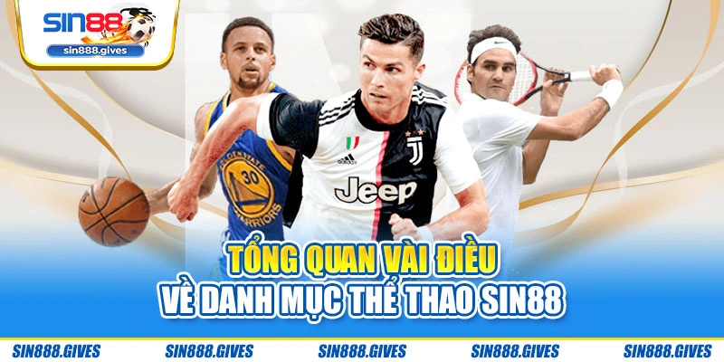 Tổng quan vài điều về danh mục thể thao Sin88
